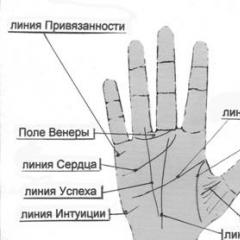 Ворожіння по руці: що означає основні лінії на долоні?